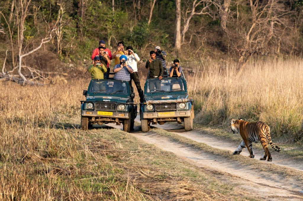 Jim Corbett