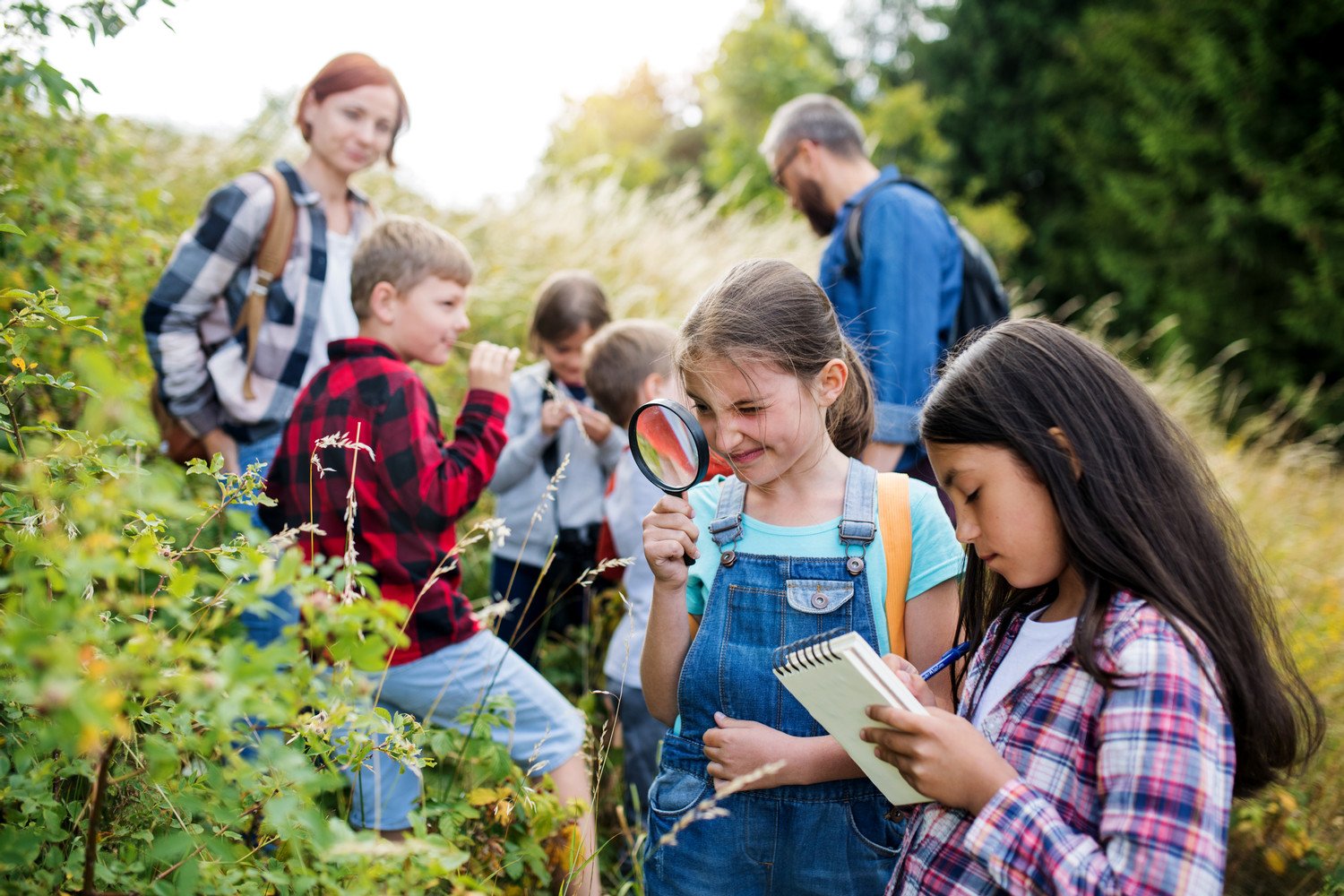 School Tours